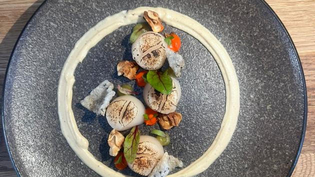Capasanta con crema di macadamia e finocchietto