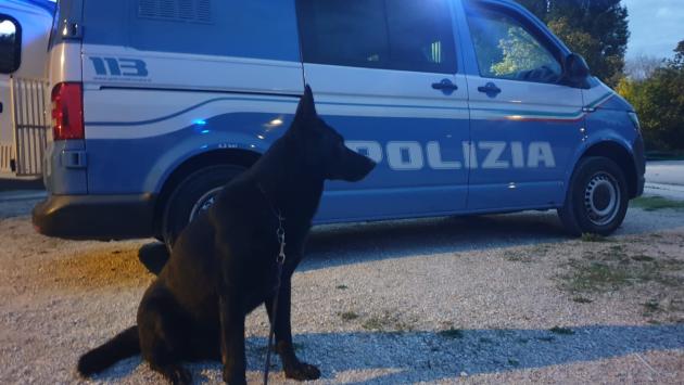 Sequestrati 150 gr . di hashish e 20 di marjuana. Denunciato uno straniero irregolare per immigrazione clandestina