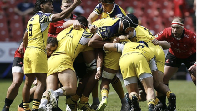 Johannesburg amara per le Zebre: i Lions si impongono per 61 a 19