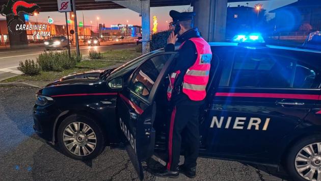 Fidenza: individuata borseggiatrice
