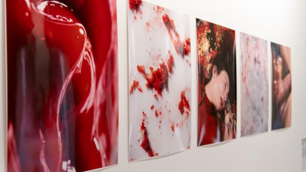 MIA Photo Fair 2024 fa tappa a Parma durante Cibus