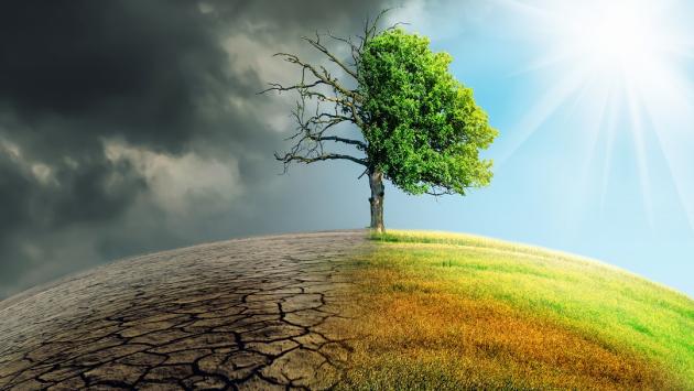 I costi della transizione ecologica