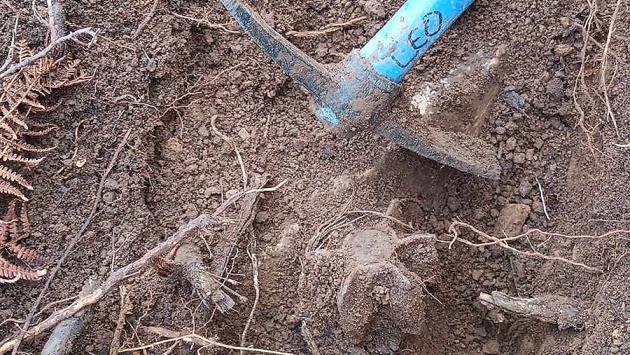 Due cercatori di metalli trovano  una bomba inesplosa  vicino al passo della Cappelletta