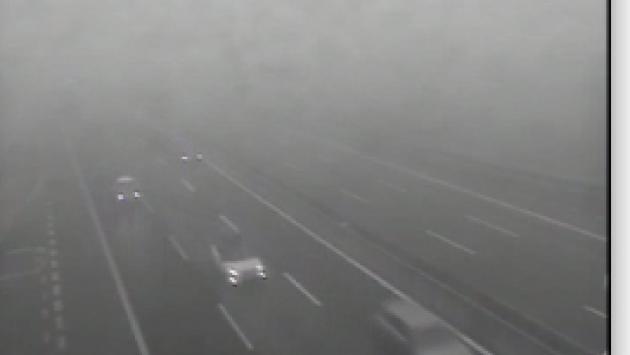 Nebbia a Parma e provincia, disagi in A1 e in A15 