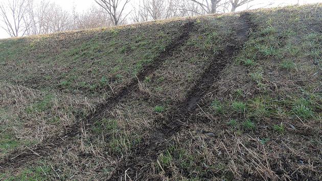 Zibello: l'argine del Po scambiato per una pista da cross