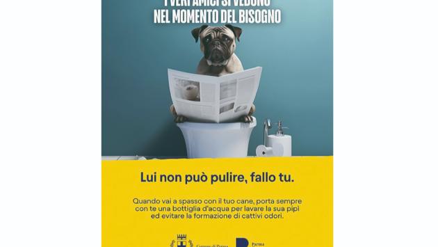 "I veri amici si vedono nel momento del bisogno - Lui non può pulire fallo tu"