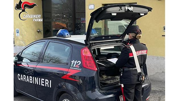 Furti seriali