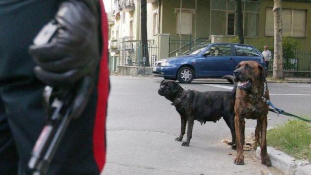 Muore sbranato da tre rottweiler mentre fa jogging vicino a Roma
