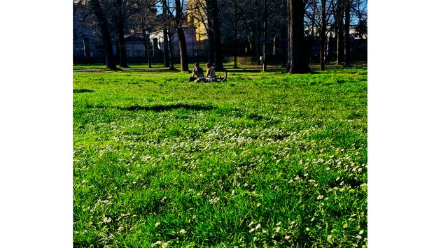 Al  Parco Ducale è arrivata la primavera (con un po' di anticipo)