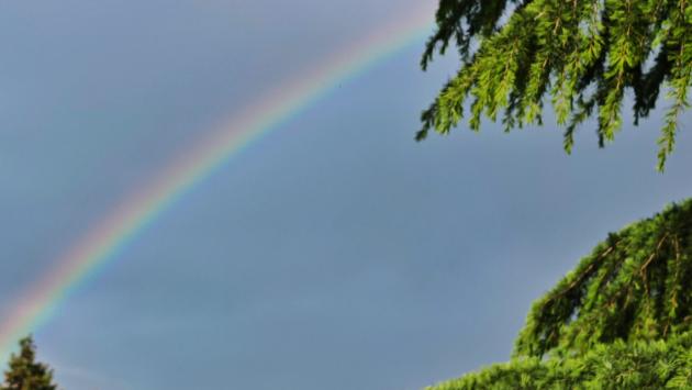 Parma, fa capolino l'arcobaleno