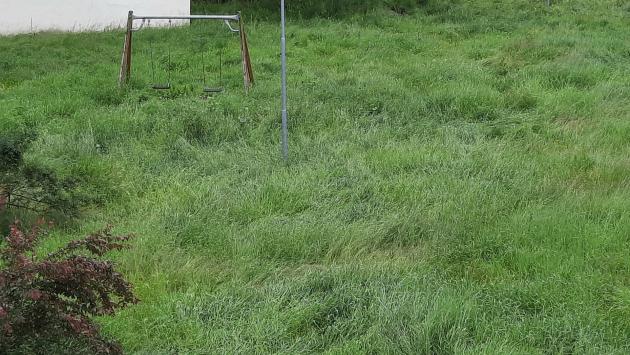 " Il parco Soncini a San Pancrazio  è sommerso dell'erba altissima"