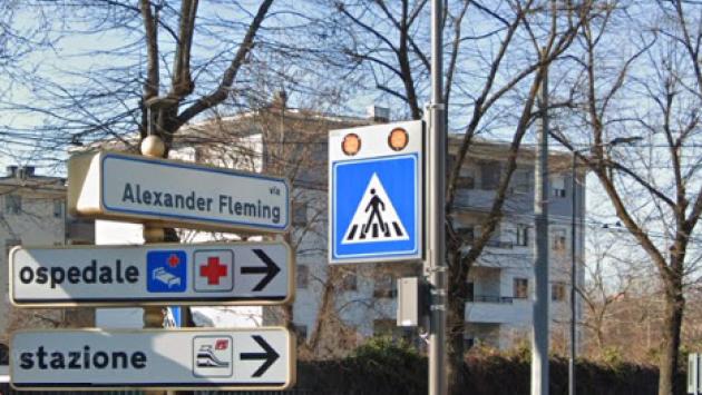 Allarme rami pericolanti in via Fleming: intervengono i vigili del fuoco