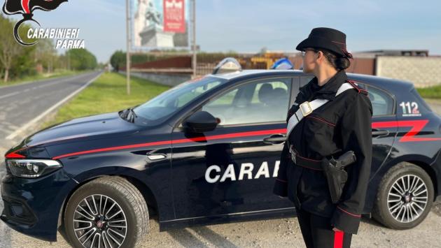 Fidenza: Prende tre pezzi di Parmigiano Reggiano e tre di coppa in una borsa ed esce dal supermercato senza pagare. Denunciata 53enne. 
