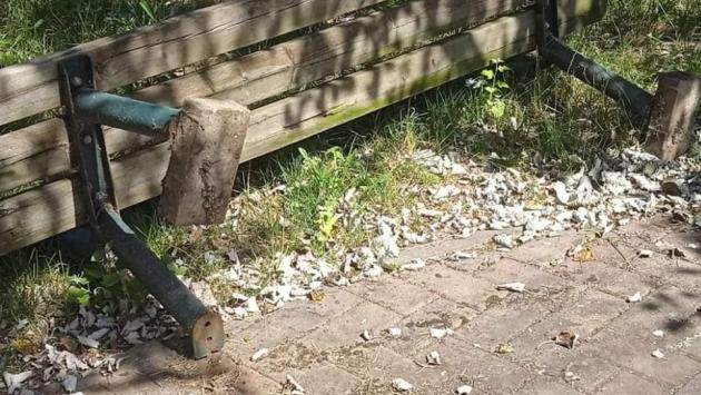 Ore di lavoro socialmente utile per i «ragazzi vandali»
