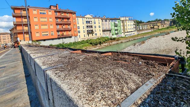 Ripulite le fioriere sul ponte di Mezzo