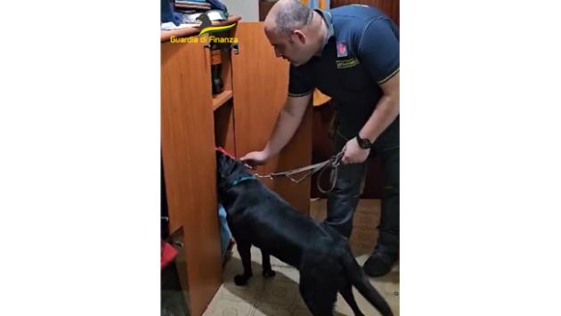 guardia di finanza