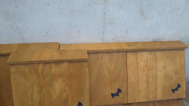  Al via l’installazione di 40 casette per pipistrelli