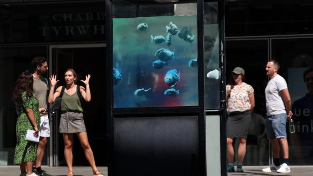 Banksy non si ferma più, nel London Zoo ecco l'acquario