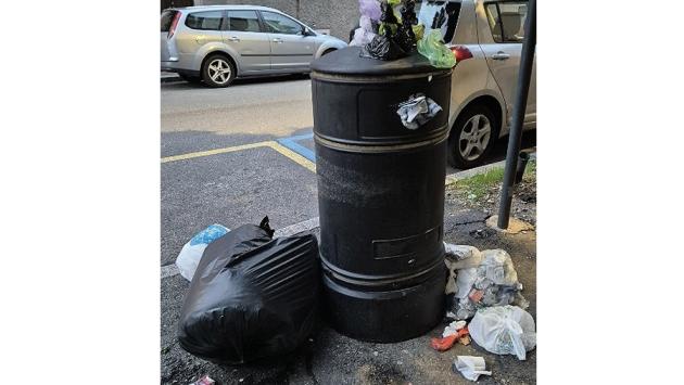 Immondizia in viale Gorizia