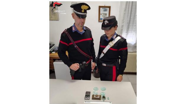 Noceto: fermato con 6 grammi di hahshish e 1 di cocaina alla fermata dell’autobus. A casa recuperati altri 100 grammi di hashish. Arrestato 23enne.