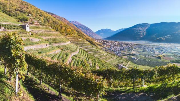 Valtellina l'oro rosso nel bicchiere