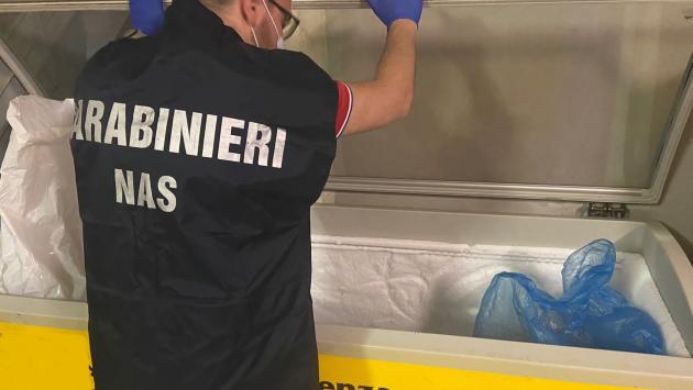 Contrasto alla diffusione della peste suina africana: sequestrati 200 kg di carne