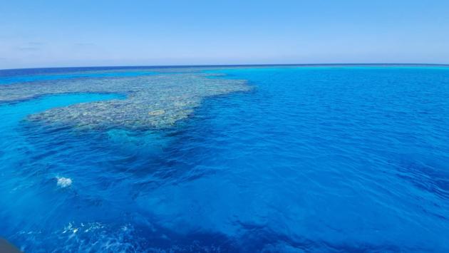 Tornato a casa a Soncino l'italiano ferito dallo squalo a Marsa Alam