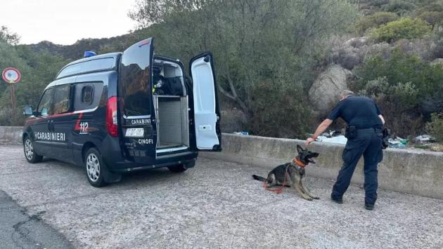 Ereditiera scomparsa, le ossa ritrovate sono di un grosso animale