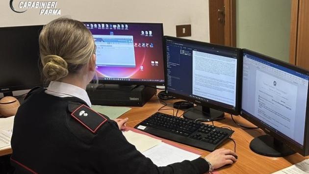 Truffa del pellet, acquirente raggirato perde 504 euro in un acquisto online. una persona denunciata dai carabinieri.