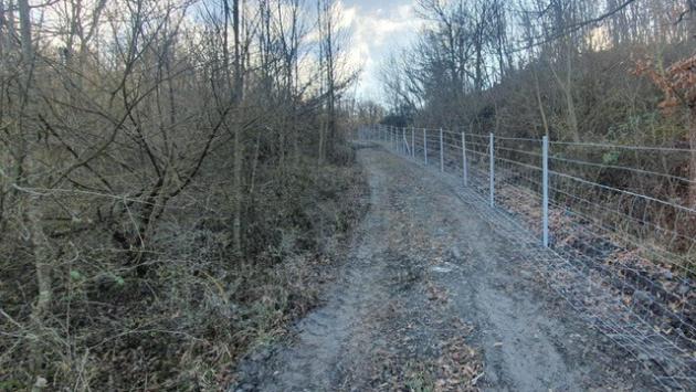 Nuove recinzioni lungo la A15 Parma - La Spezia  per contenere gli spostamenti dei cinghiali