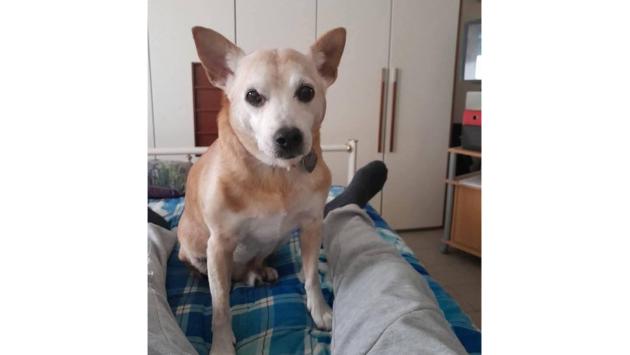 Tex ha trovato una famiglia