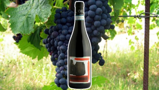 Cascina Val Liberata Cenerina 2021: un rosso naturale, al naso bosco e fiori austero al sorso