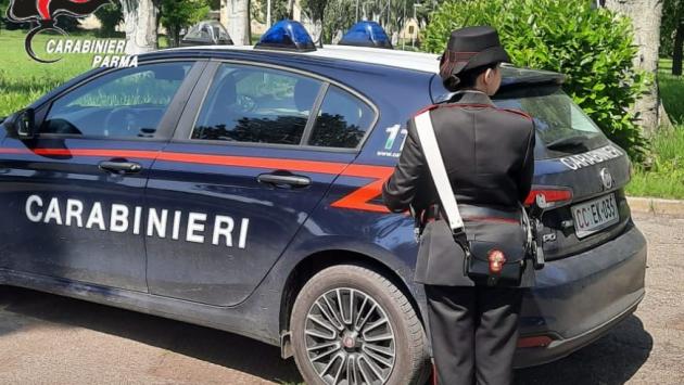 Parma: controlli dei carabinieri al parco “Falcone e Borsellino” - Lancia una manciata di dosi di crack nell’erba e tenta la fuga. arrestato 33enne straniero.