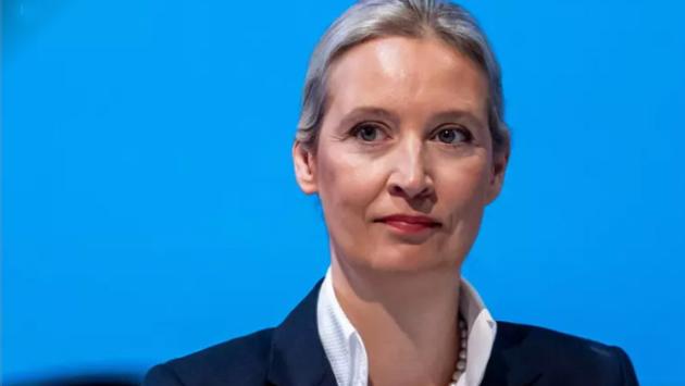 Perché la Germania vuol fermare l'ultradestra