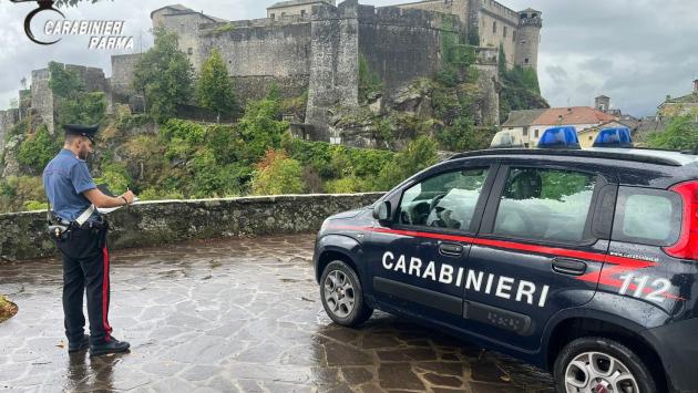 Bardi: deve assicurare il trattore ma viene truffato online. La polizza non arriva e spariscono 120 euro. Denunciata 27enne italiana
