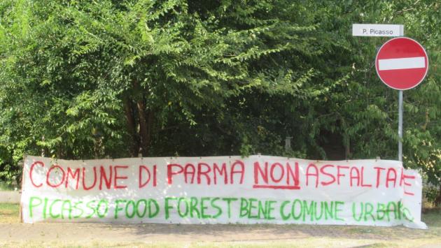 Via Picasso «protesta»: «Caro Comune, non asfaltare la nostra foresta del cibo»