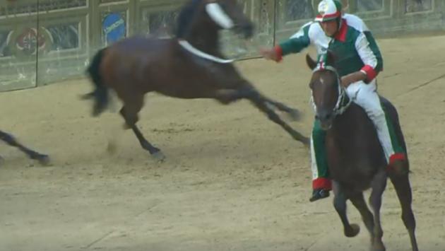 Palio di Siena, stravince la contrada dell'Oca
