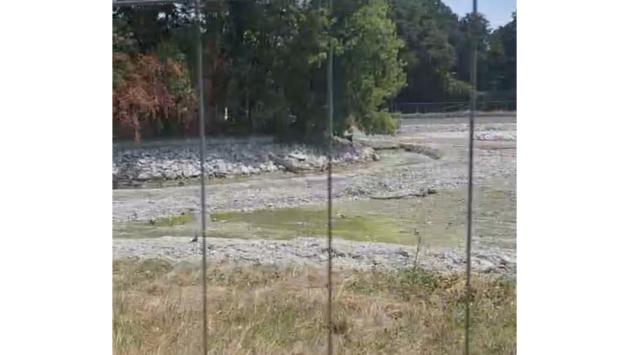 Il laghetto è senz'acqua: animali in crisi