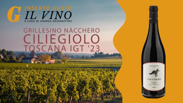 Grillesino Nàcchero Ciliegiolo Toscana Igt '23
