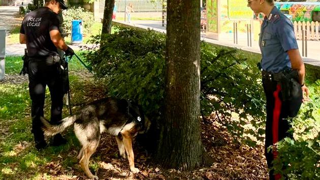 Parma: parco ducale e quartiere san leonardo al setaccio. Denunce, sanzioni, stupefacenti e armi sequestrate