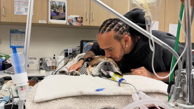 F1: in ansia per la salute del cane, Hamilton salta test Mugello