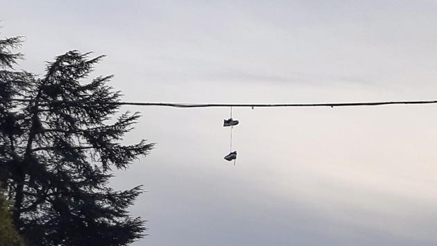 Via le scarpe volanti dal parco Testoni