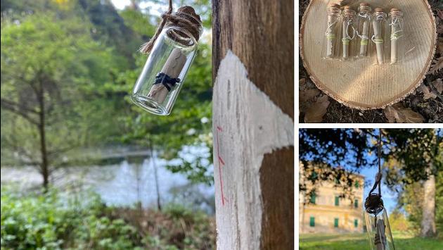 Caccia al tesoro (ecologico) nel bosco