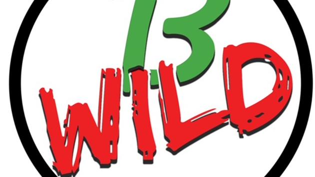 B-Wild – Storie di viaggio 