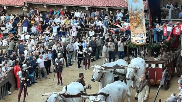 Palio di Siena, assegnati i cavalli: all'Oca l'unico cavallo già vittorioso in piazza del Campo 