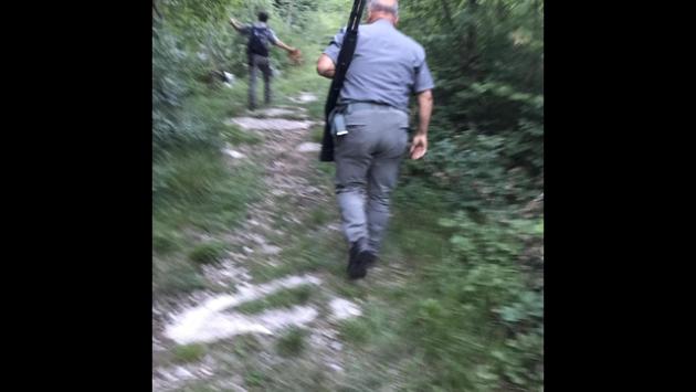 Da Fugatti nuova ordinanza abbattimento orsa Kj1, Lav 'ricorso'