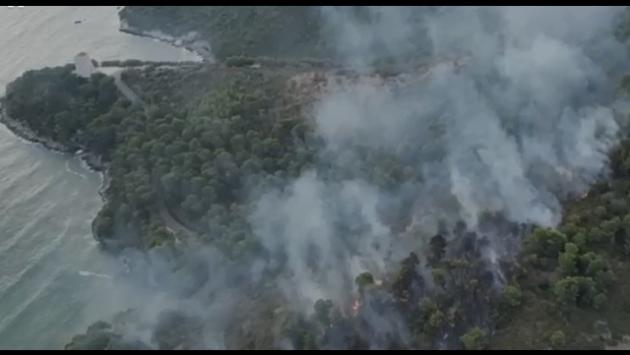 Vasto incendio (doloso) in un bosco a Baia san Felice a Vieste, sul Gargano. Turisti in fuga