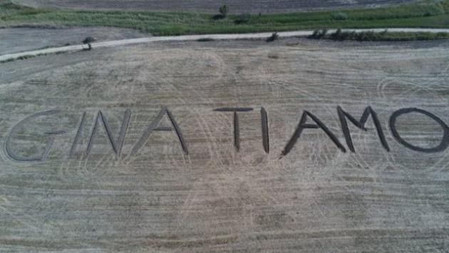 "Gina ti amo": la dichiarazione d'amore è scolpita in un campo di grano