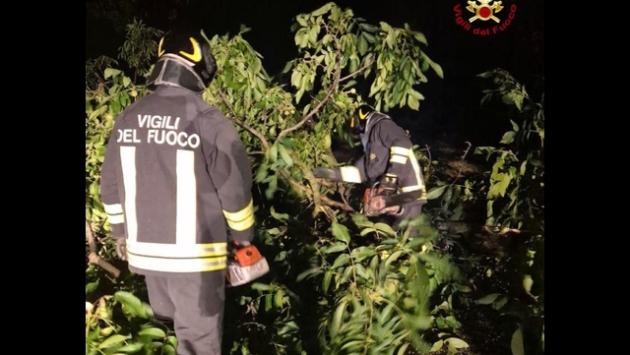 Nubifragi e raffiche vento in Emilia, oltre cento interventi Vvf