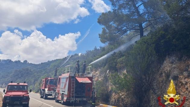 Brucia la macchia mediterranea nel Barese, Canadair in arrivo